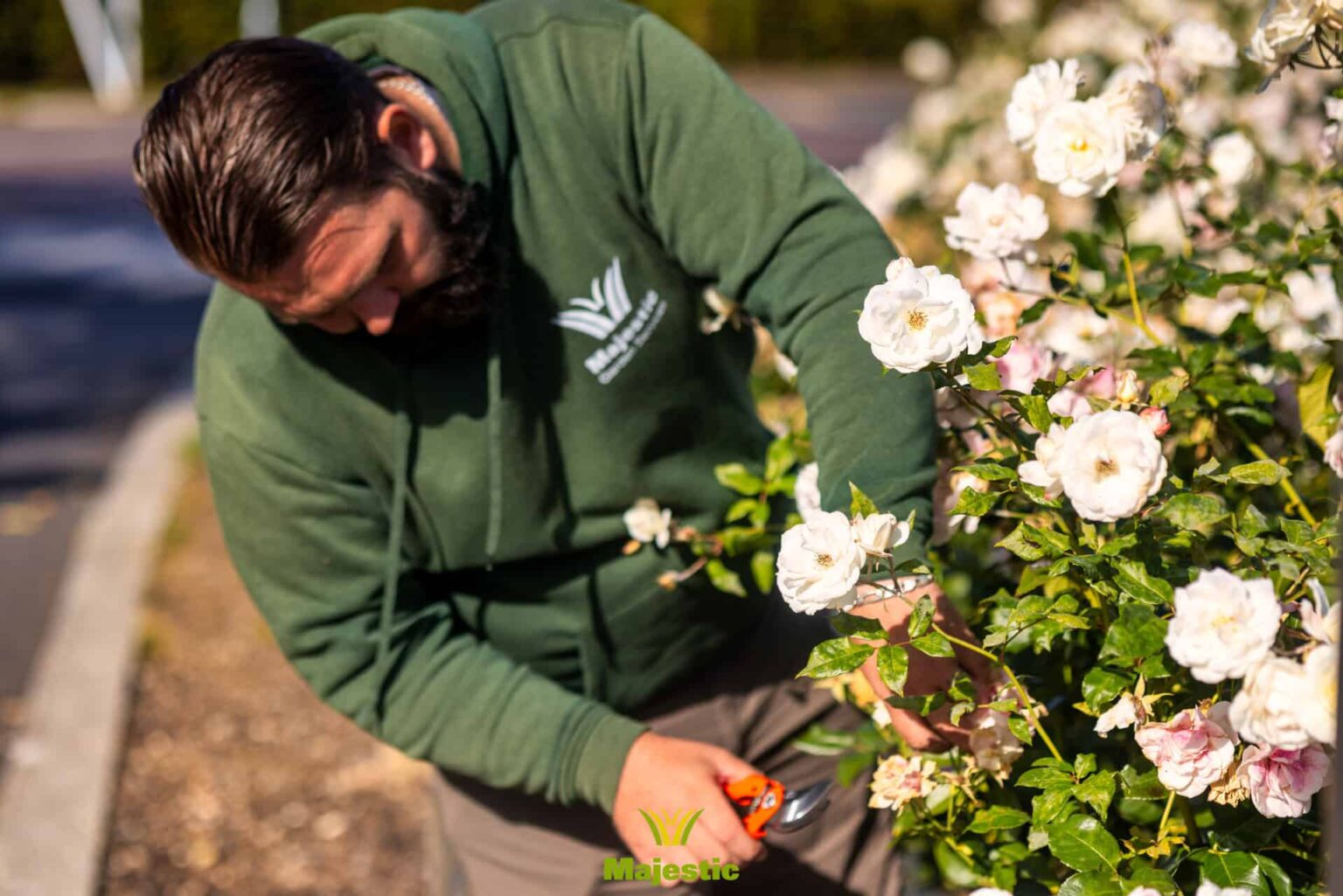 About - Majestic Grounds Maintenance Ltd