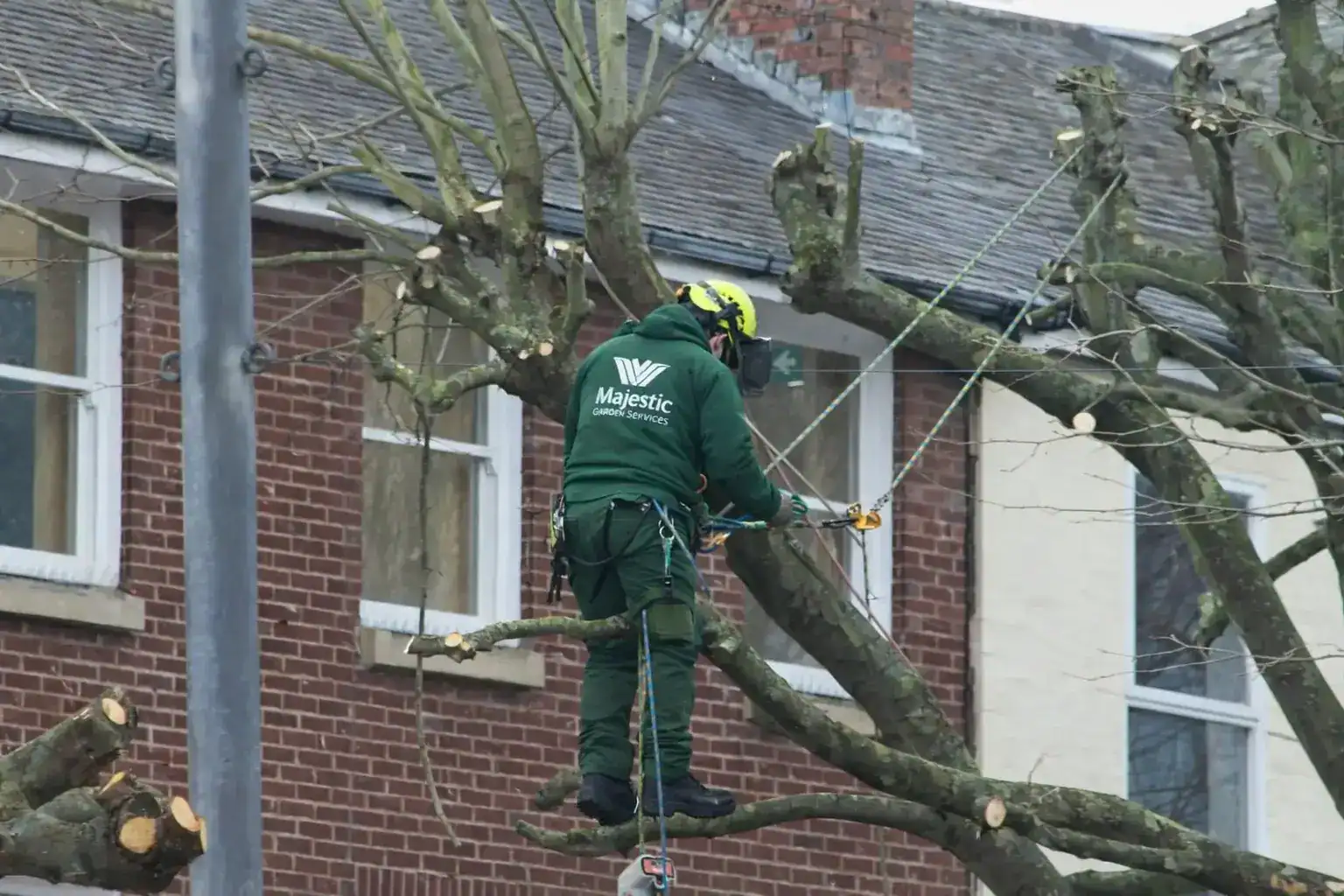 Commercial Arboriculture Services