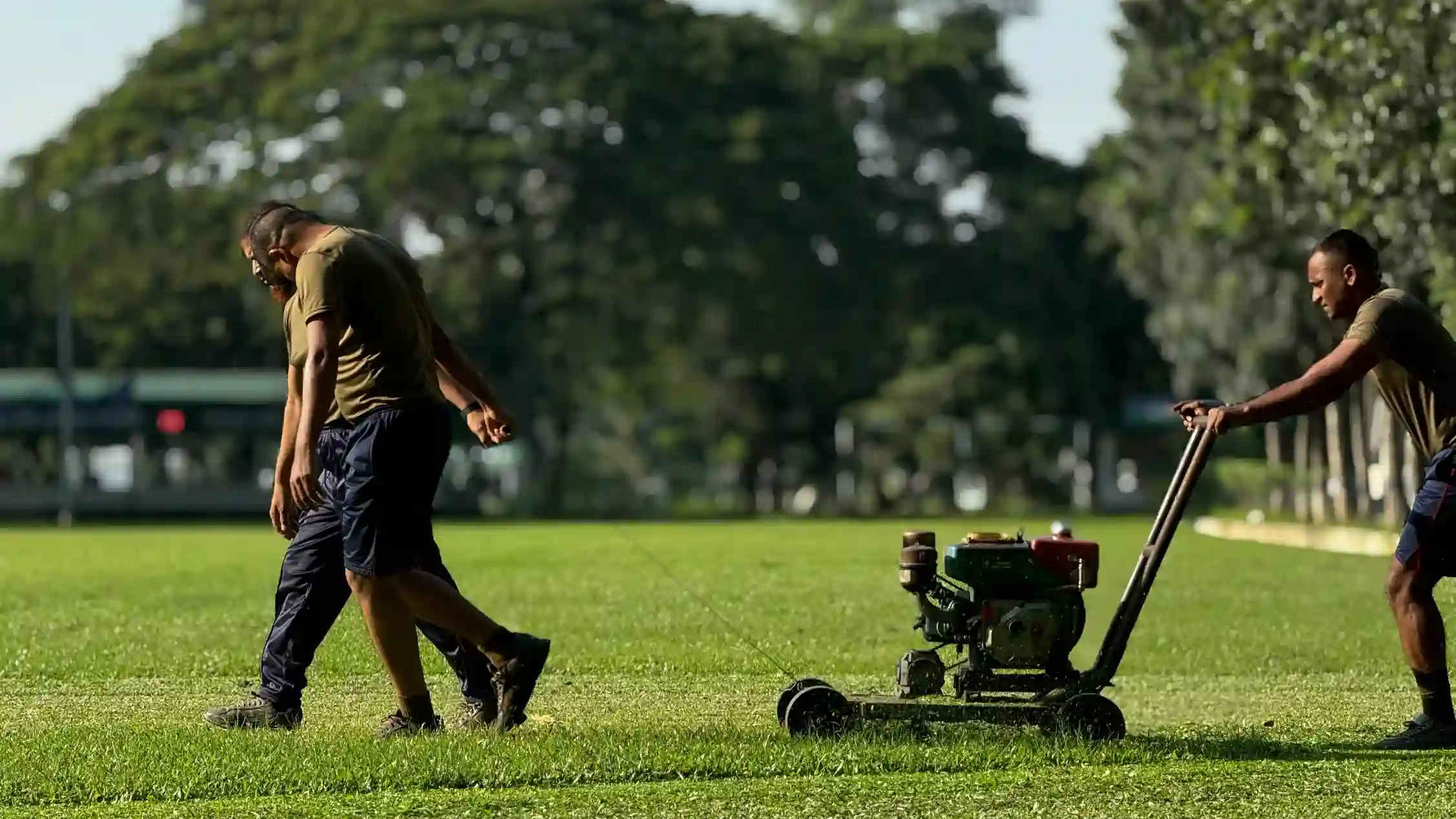 Commercial Grounds Maintenance Services