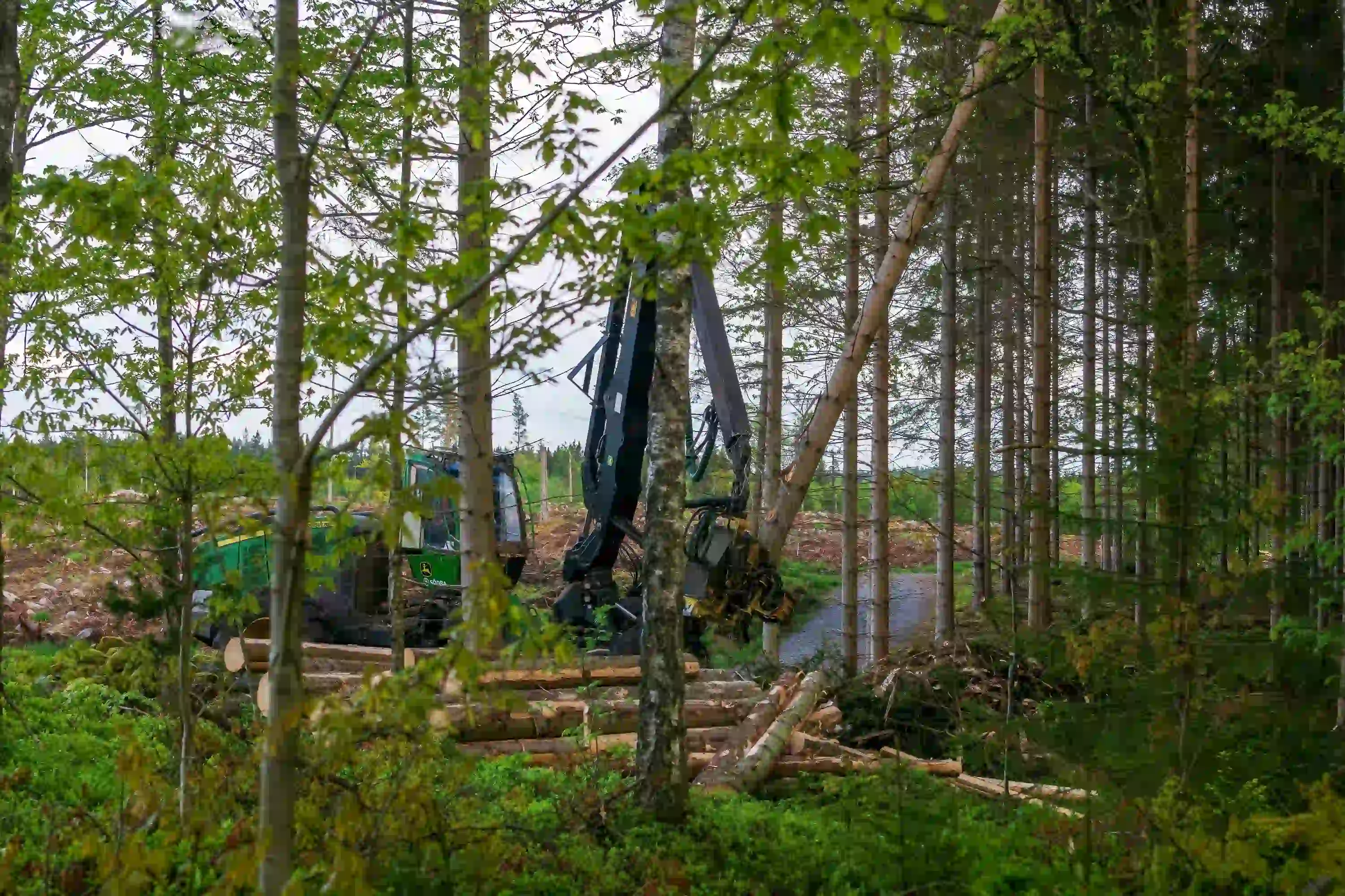 Countryside Management Services