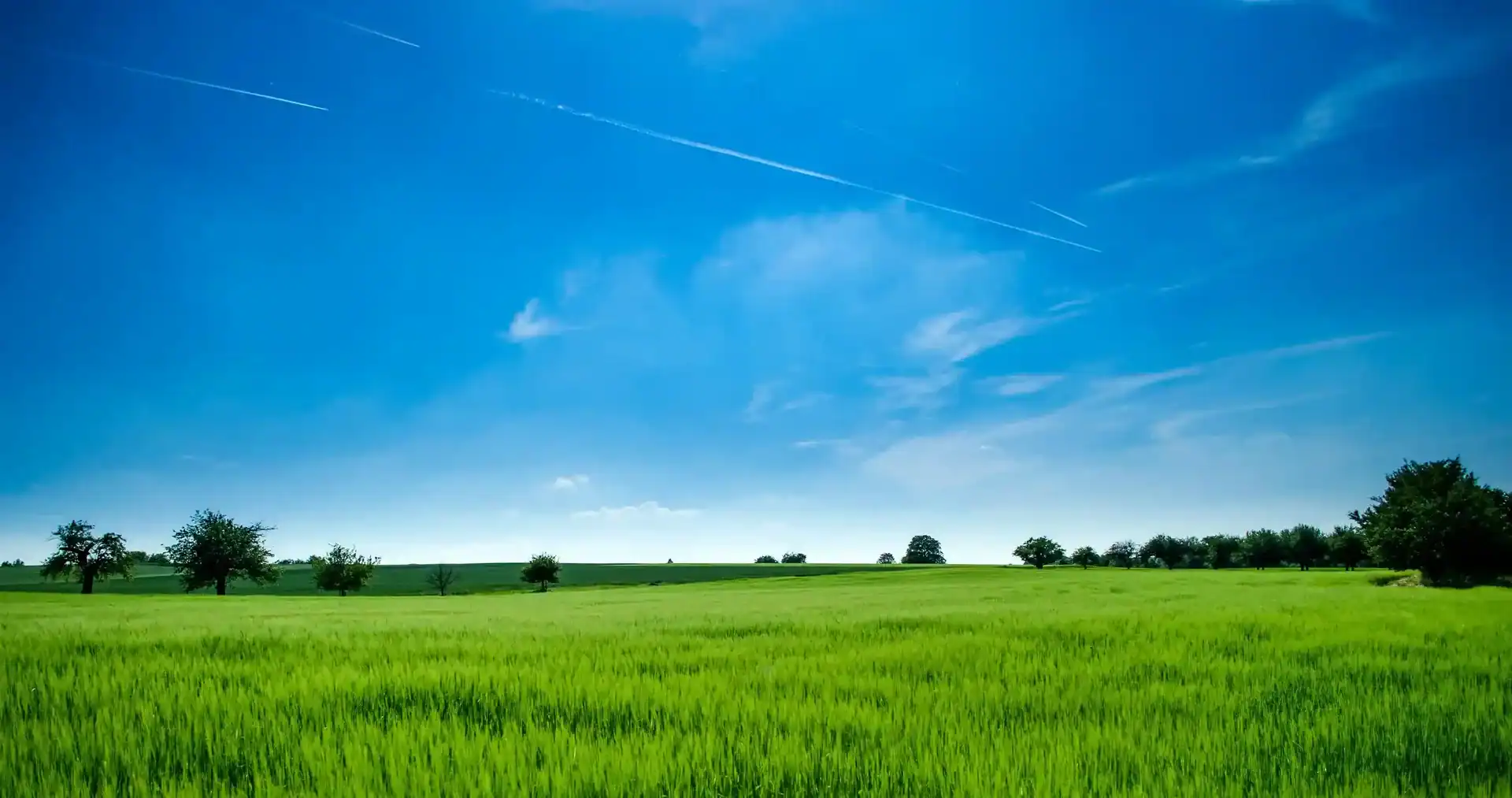 Countryside Services