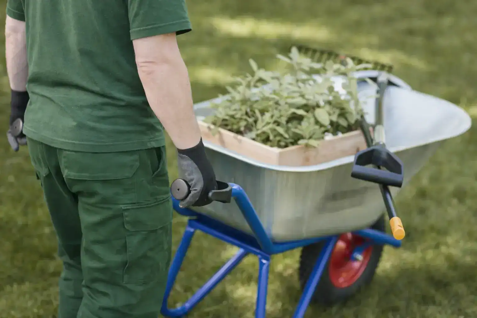Woodland Services