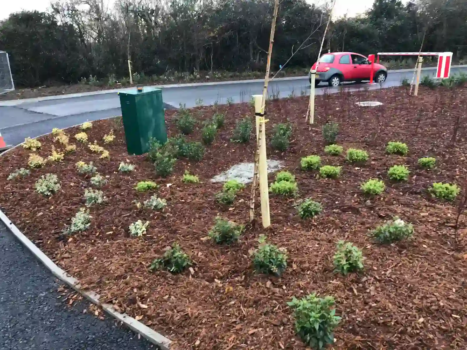 Cark Park Landscaping