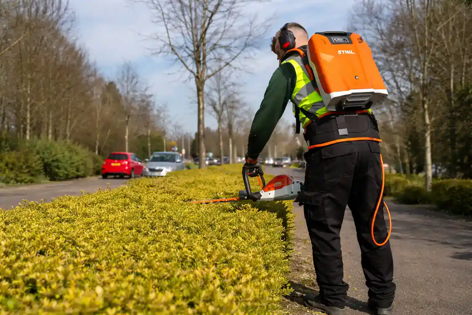 Hedge Trimming Outside