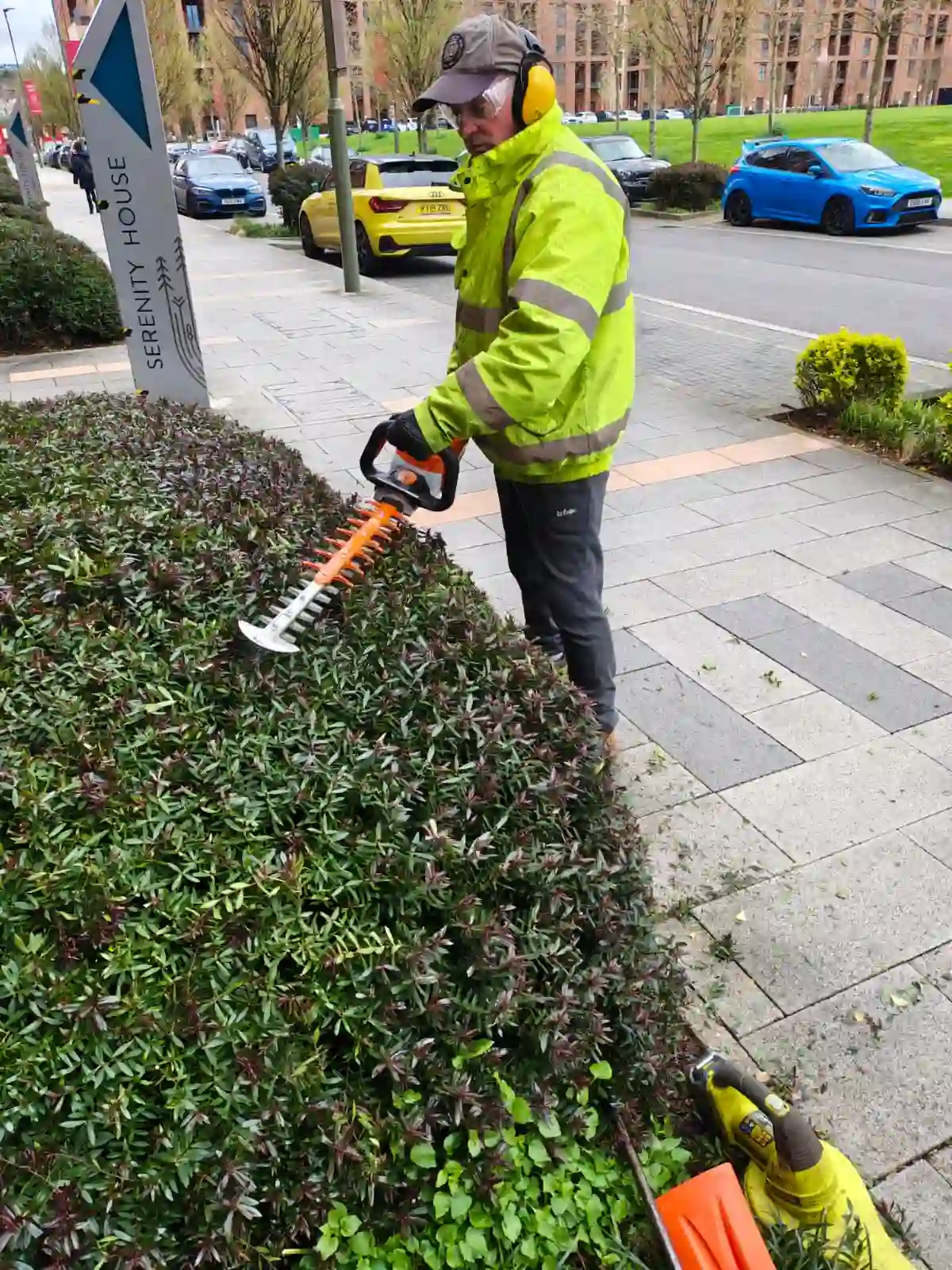 Majestic Hedge Pruning