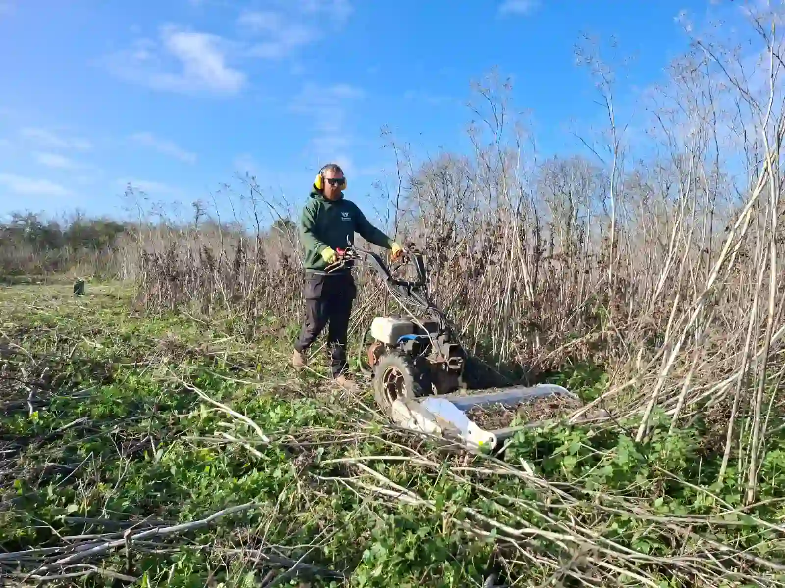 Mowing a Field