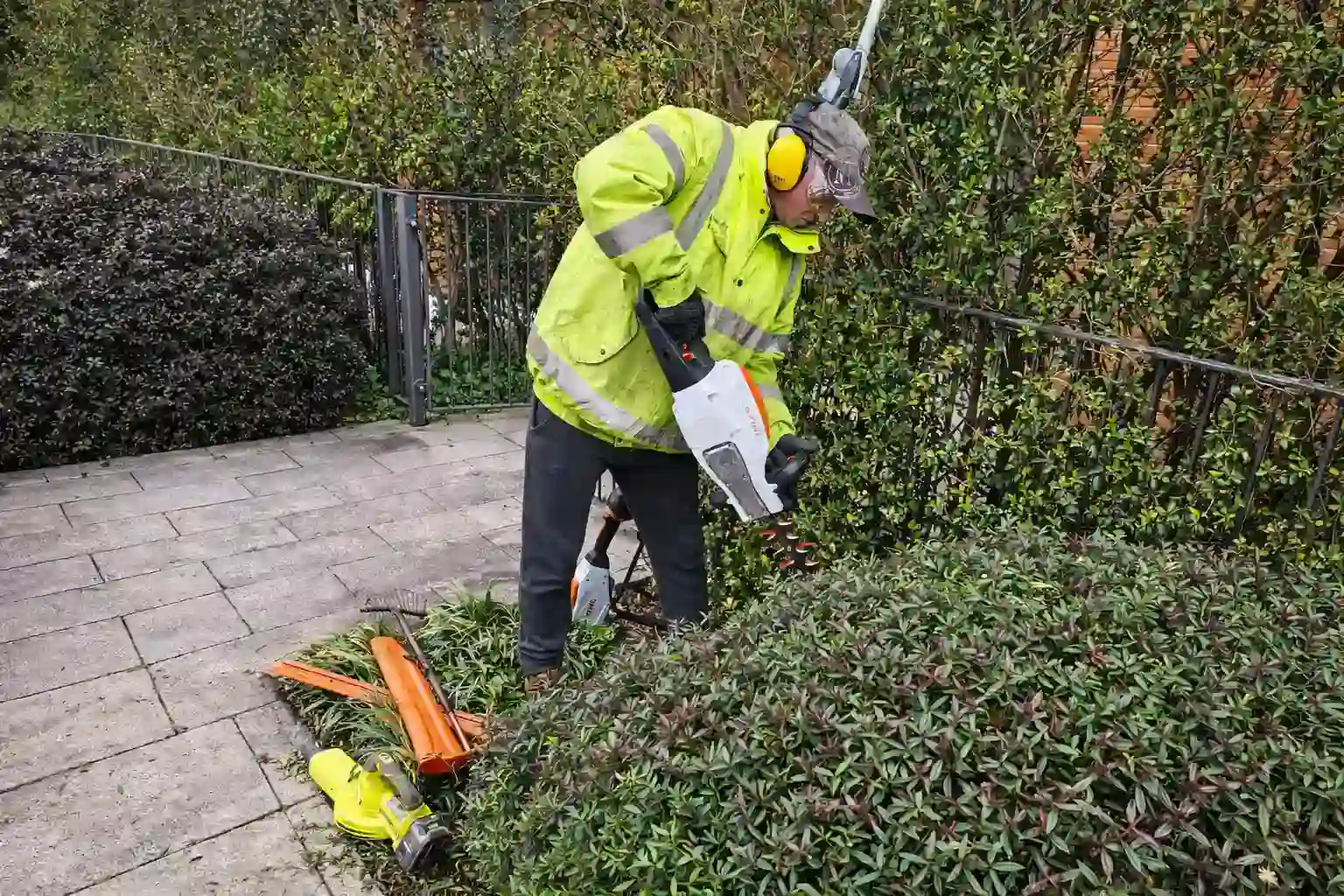 Professional Hedge Trimming