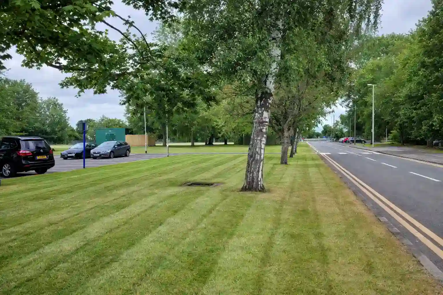Professional Lawn Maintenance