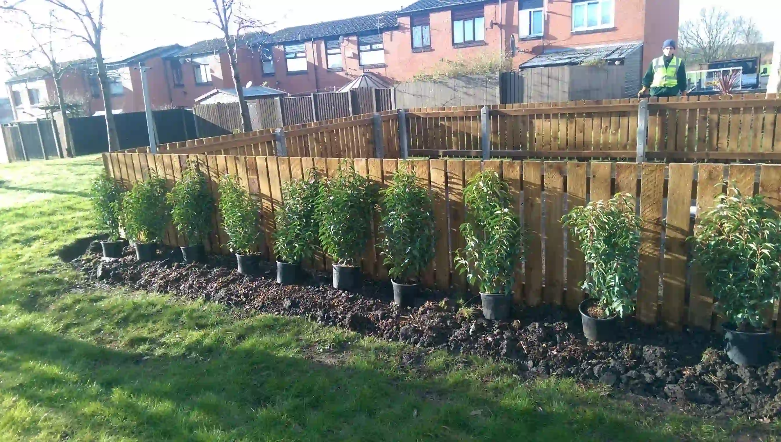 Sustainable Grounds Maintenance