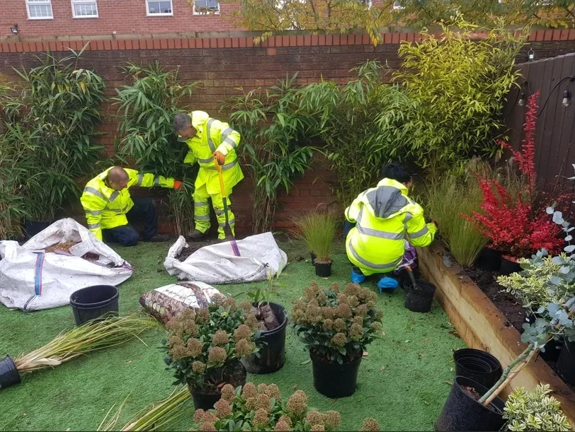 planting schemes for commercial sites