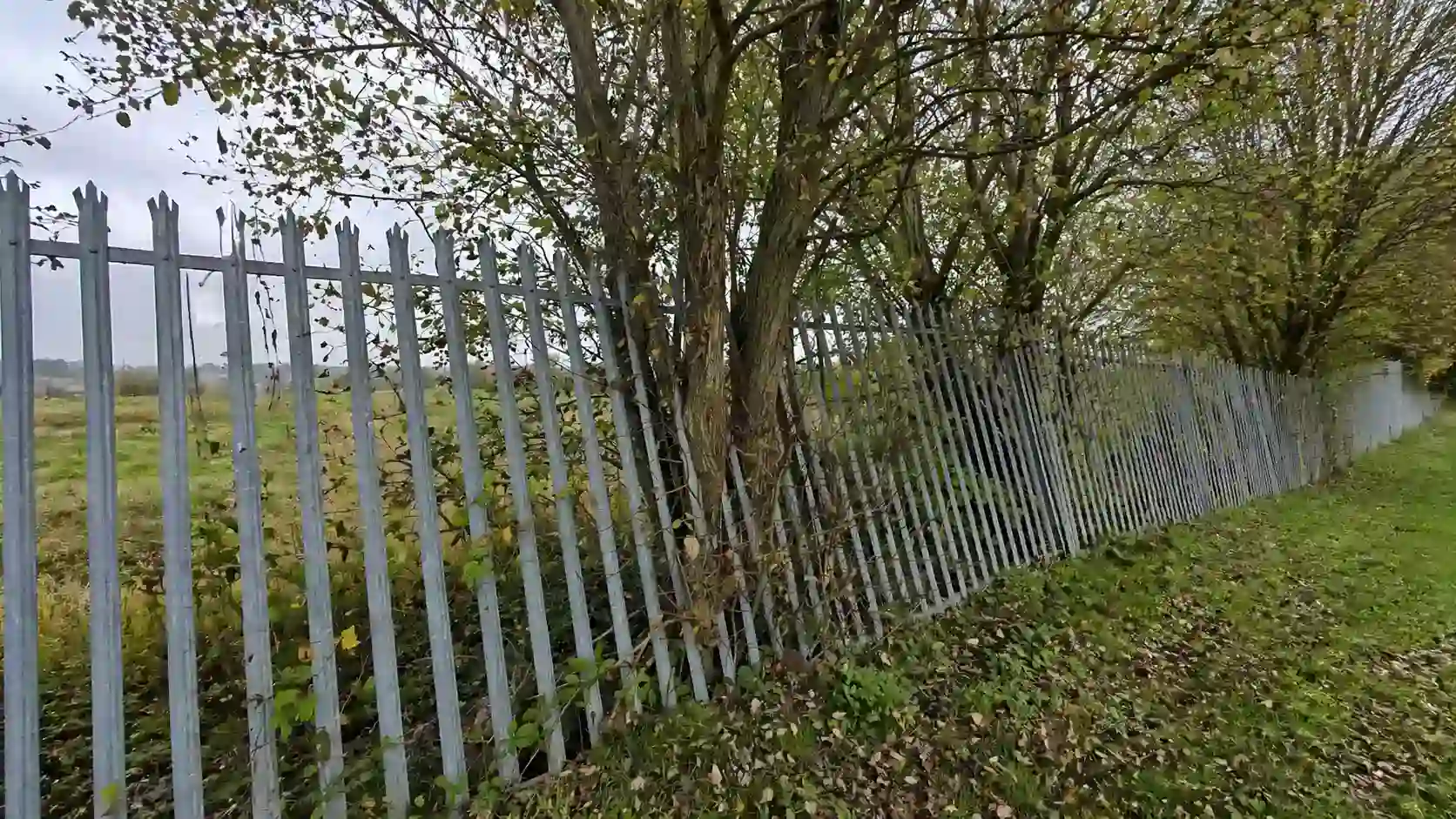 Dilapidated Fence