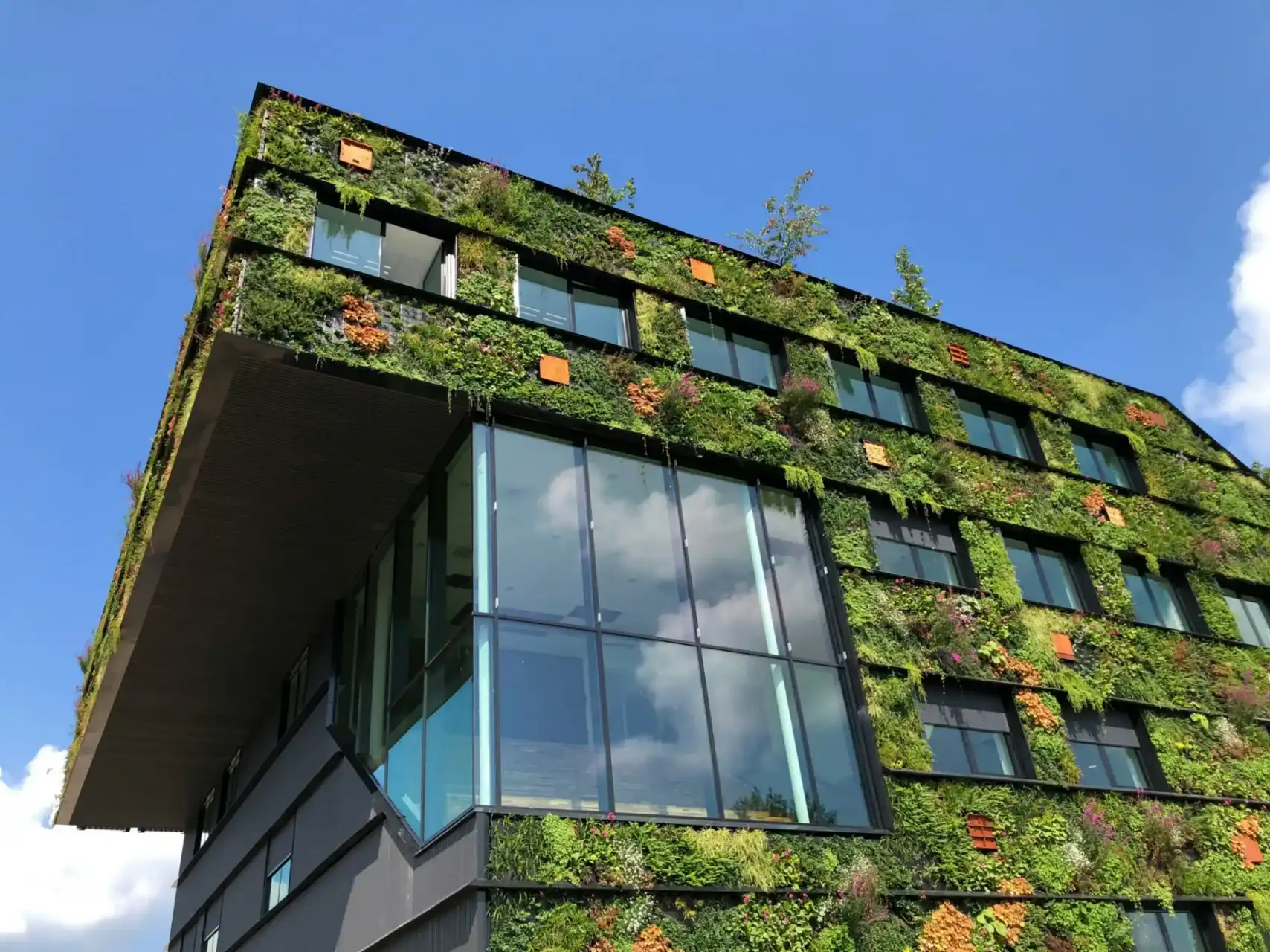 Commercial Green Wall Services