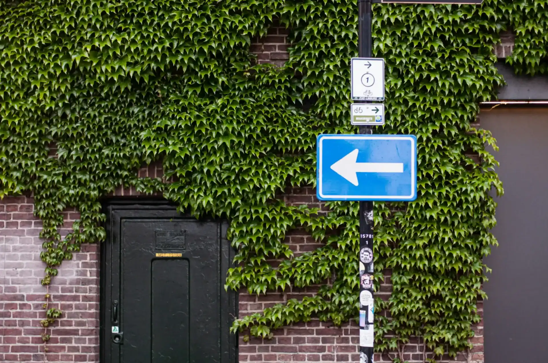 Green Wall Services