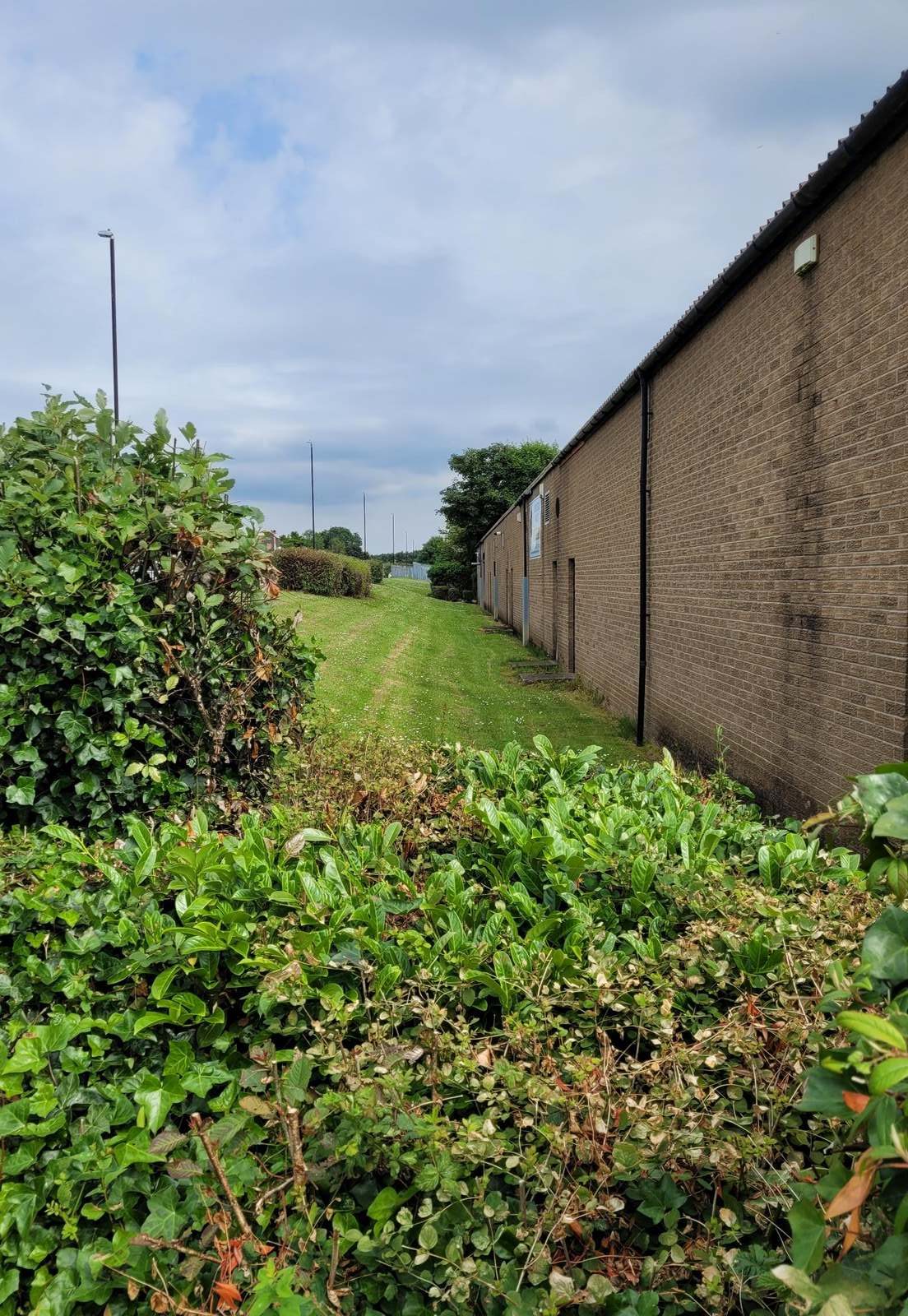 Commercial grounds maintenance outside business premises